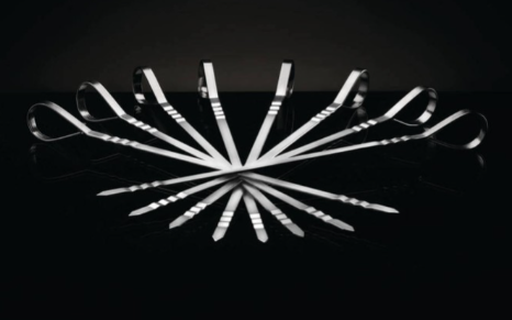 Brochettes multifonctionnelles en acier inoxydable (8 pièces) NAPOLEON GRILL