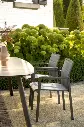 cortina terre3.webp