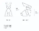 lapin.webp