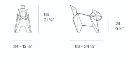 CHAT DIMENSIONS PETIT.webp