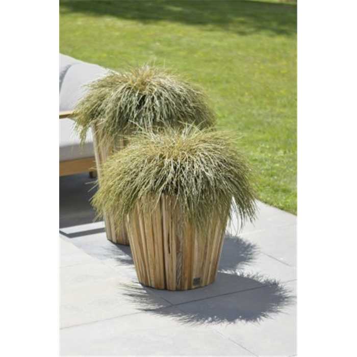 Pot miguel  medium en teck - 4 Seasons h.71 cm diam: 58 cm