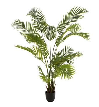 Plante décoration en plastique Chrysalidocarpus vert - J-LINE, fleur, plante, 12532